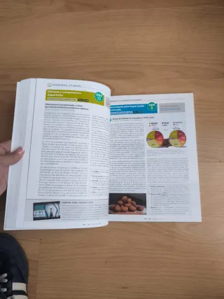 Economía 1 BA LOMLOE