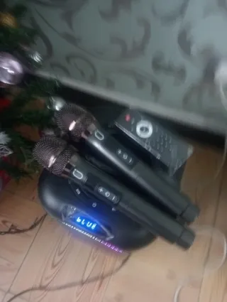 Altavoz Karaoke con Micrófono