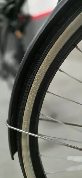 Bicicleta Versiliana Negra