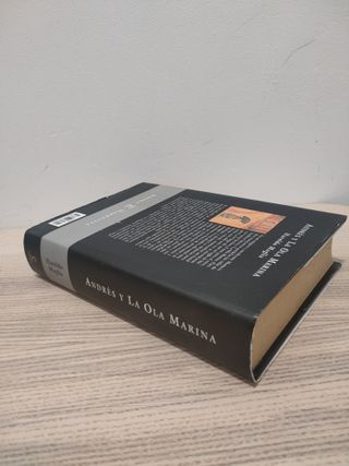 Andrés y la ola marina (Narrativa) (Spanish Ed...