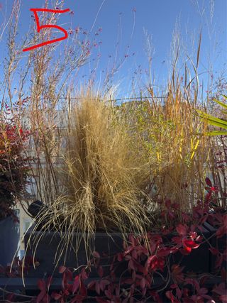 Jardineras con plantas variadas