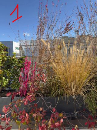 Jardineras con plantas variadas