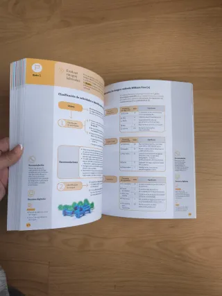 Formación y Orientación Laboral FOL