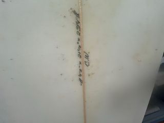 Tabla de surf evolutiva