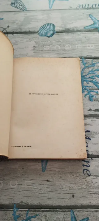 Libro le avventure di Tom Sawyer