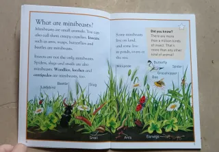 Minibeasts Macmillan Primary 5 (English)