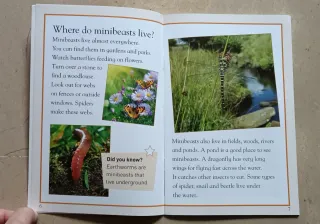 Minibeasts Macmillan Primary 5 (English)