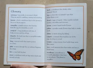 Minibeasts Macmillan Primary 5 (English)