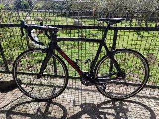 Pinarello Fp Quattro  Carretera Full carbono