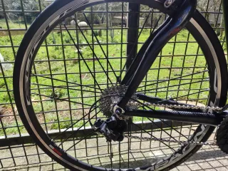 Pinarello Fp Quattro  Carretera Full carbono