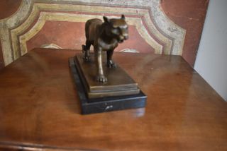 Figura de bronce de una leona sobre base de marmol