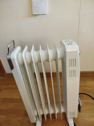 Radiador eléctrico blanco y plateado