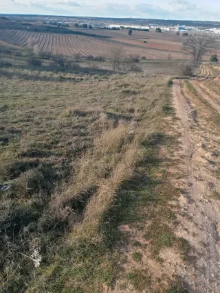 Parcela rustica. Aranda de Duero. Poli:8 parc:805