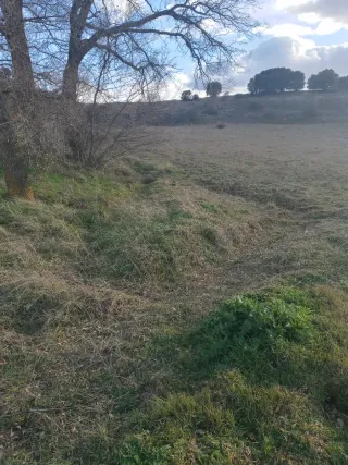 Parcela rustica. Aranda de Duero. Poli:8 parc:805