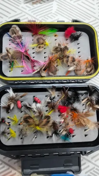 Caja de moscas para pesca
