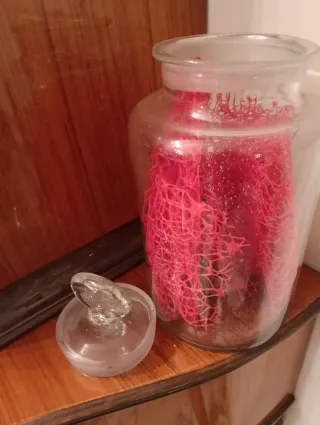 Boccaccio Farmaceutico Vetro Trasparente