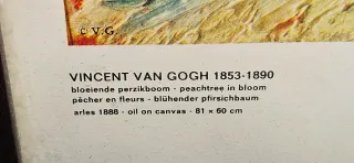 Cuadro Almendro en Flor Van Gogh
