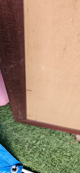 Cuadro Almendro en Flor Van Gogh