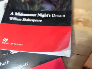 Lote libros en inglés