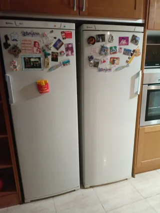 Nevery congelador a Balay 171x60x60 cm