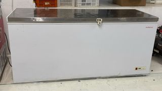 Congelador horizontal gran capacidad