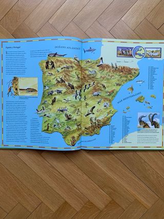 Atlas jeunesse, Les animaux