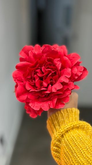 Lote peonia y pendientes rojos flamenca