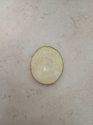 Centrotavola natalizio con pigne e bacche