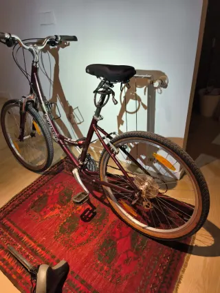 Bicicleta urbana morada  SPECIALIZED EXPEDITON