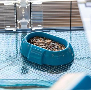 Ferplast Duna fun Gabbia criceti e piccoli animali