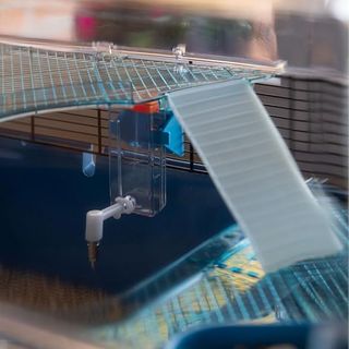 Ferplast Duna fun Gabbia criceti e piccoli animali