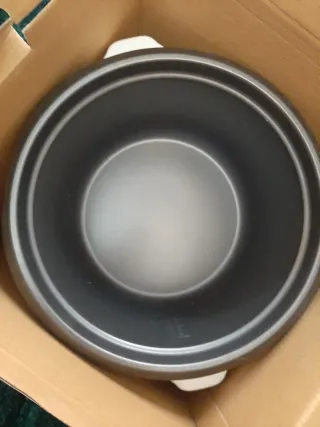 Arrocera vaporosa obregozo CO 3031