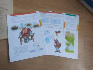 Taller de Matem ticas - M¢dulo 2