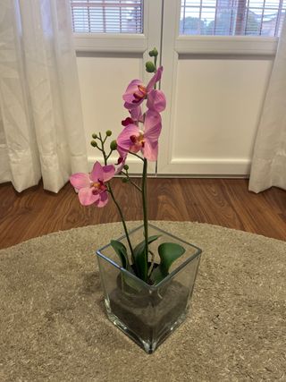 Orquídea Rosa en macetero de cristal