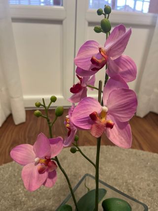 Orquídea Rosa en macetero de cristal