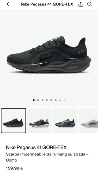 Nike Pegasus Gore-Tex Scarpe Uomo Taglia 46