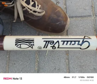 Caña telescopica Grauvell + carrete Mitchell antig