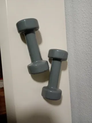 2 Pesas Gimnasio 2 Kg