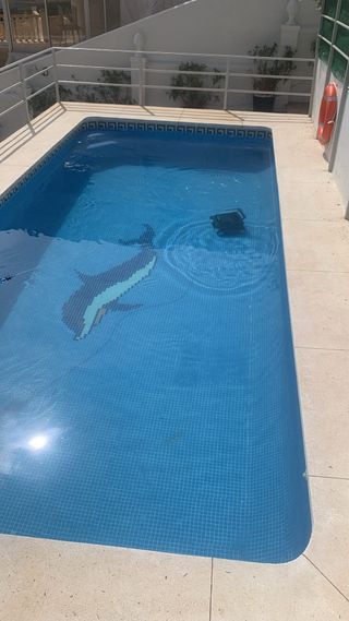 Mantenimiento de piscina
