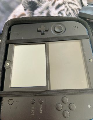 Nintendo 2DS Nero/Blu