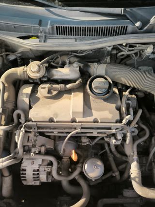 Volkswagen Golf 1.9 TDI 115cv Highline