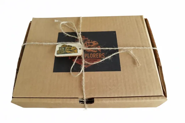 Kit Paleontólogo Regalo Dientes Fósiles Mosasaurio