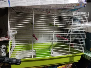 Jaula para pájaros blanca y verde