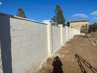 albañil profesional