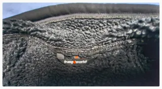 Cortavientos Trangoworld Negro/Gris de Hombre