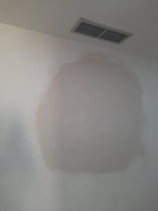 Yesero profesional económico rápido y limpio