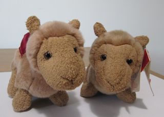 Coppia Cammellini Peluche