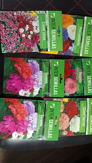 Lote de semillas para plantas