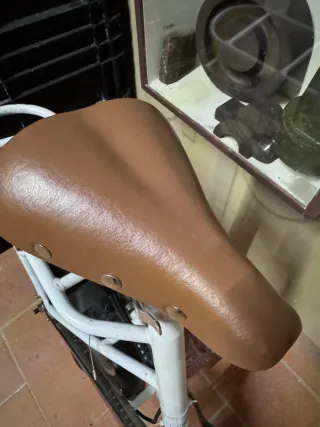 Bicicletta elettrica Nilo J1 Plus