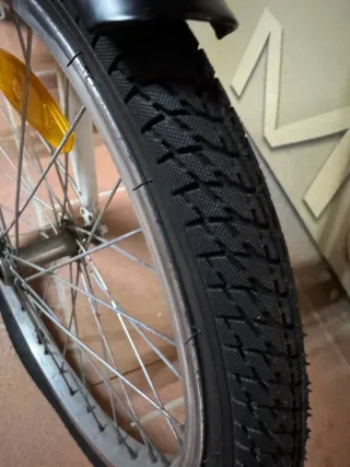 Bicicletta elettrica Nilo J1 Plus